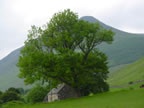 Glen Lyon