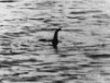 Loch Ness Monster